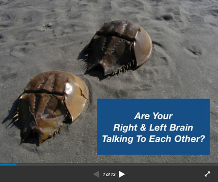 Are Your Right & Left Brain Talking to Each Other - Michael Mamas SlideShare