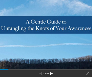 A Gentle Guide to Untangling the Knots of Your Awareness by Michael Mamas